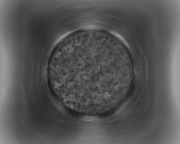 X0000084040487200703092034