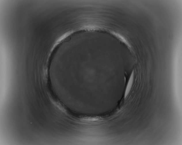 X0000084040488200703092034