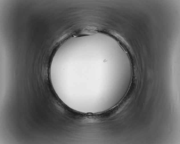 X0000084040489200703092034