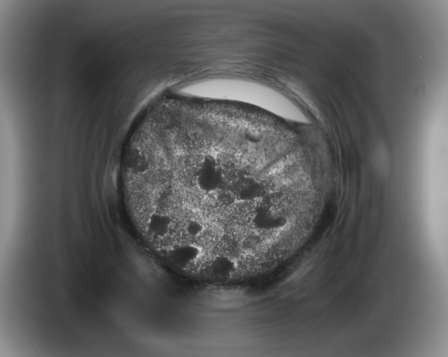 X0000084040491200703092034