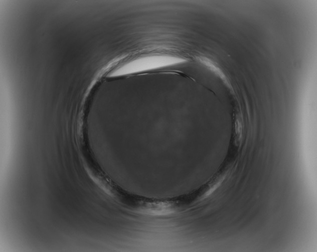 X0000084040492200703092034