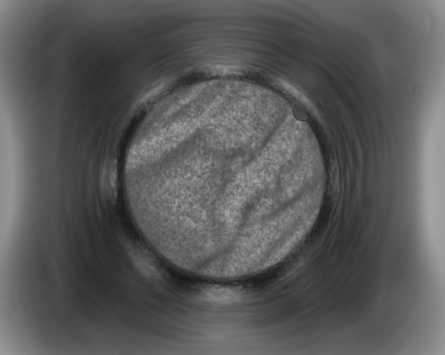 X0000084040494200703092034