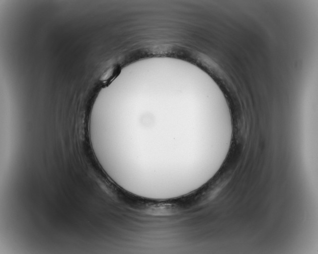 X0000084040497200703092034