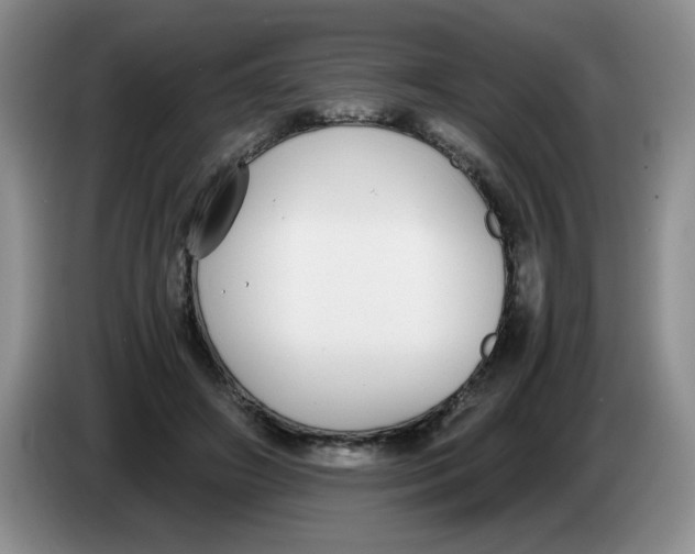 X0000084040498200703092034