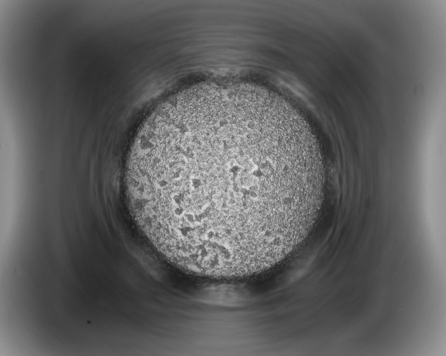 X0000084040499200703092034