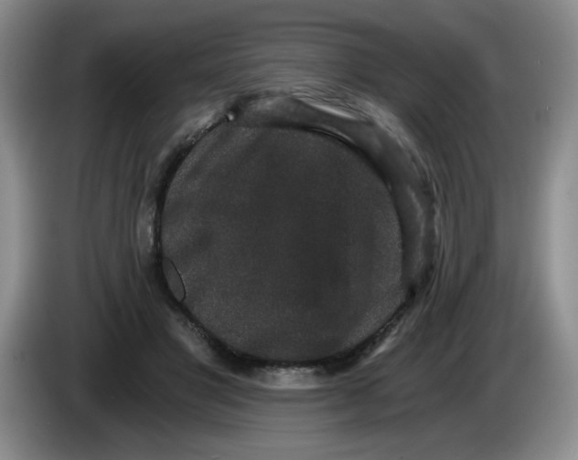 X0000084040501200703092034