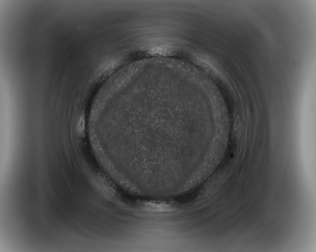 X0000084040502200703092034