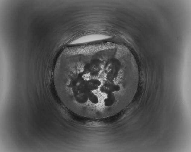 X0000084040503200703092034