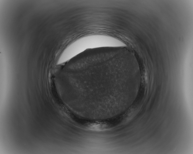 X0000084040504200703092034