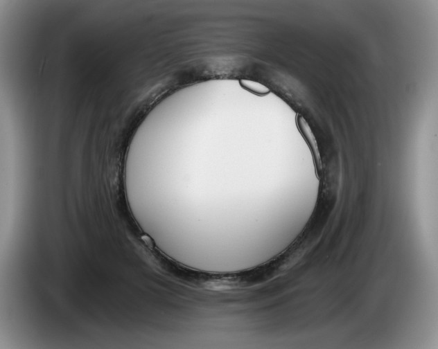 X0000084040505200703092034