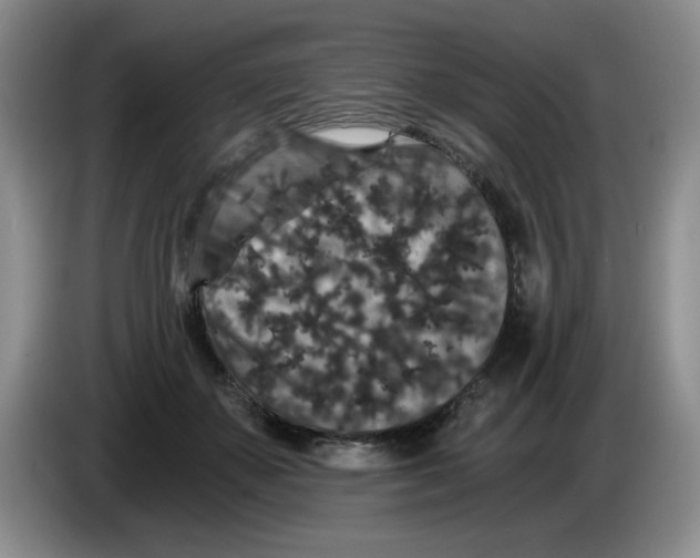 X0000084040507200703092034