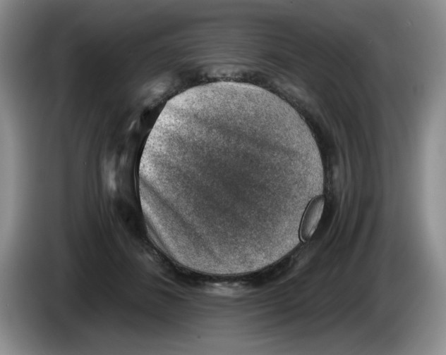 X0000084040508200703092034