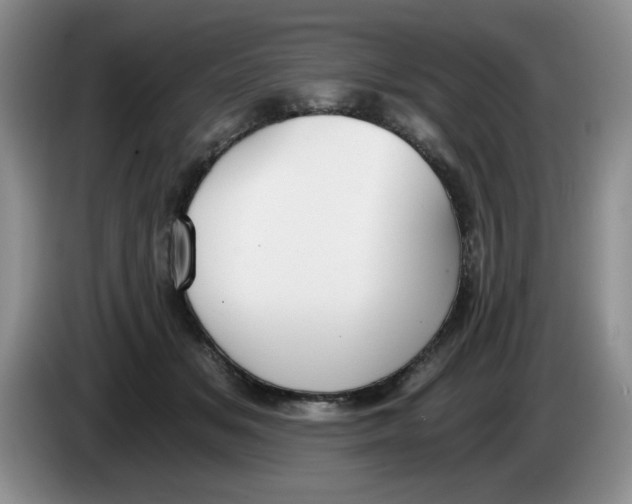 X0000084040509200703092034