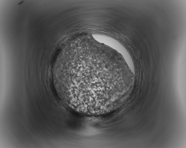 X0000084040511200703092034