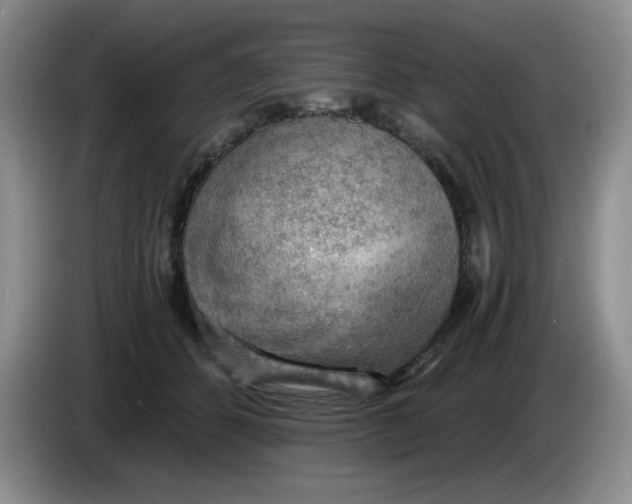 X0000084040512200703092034