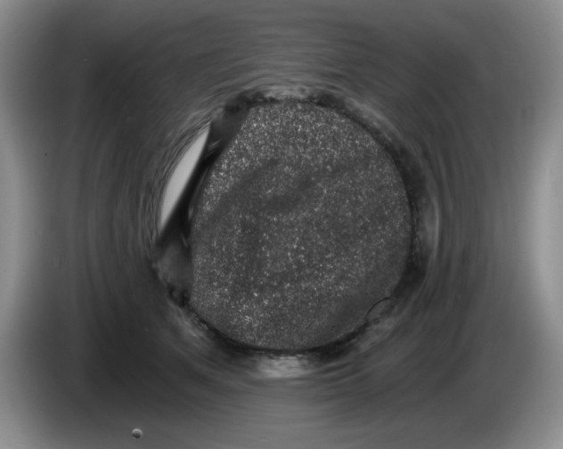 X0000084040513200703092034