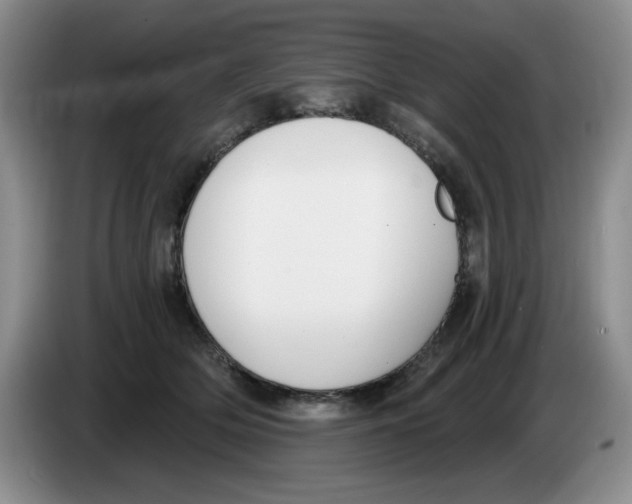 X0000084040514200703092034