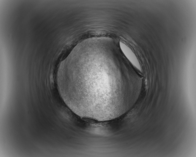 X0000084040516200703092034