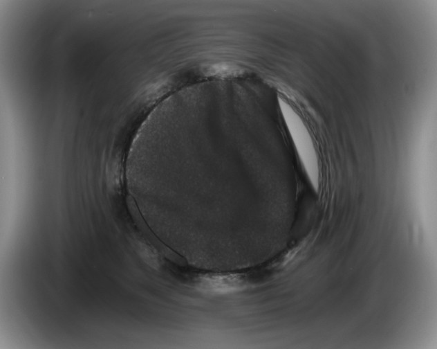 X0000084040517200703092034