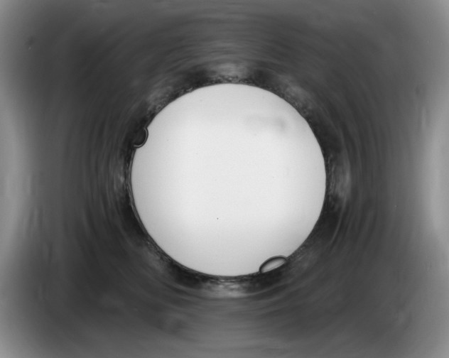 X0000084040518200703092034