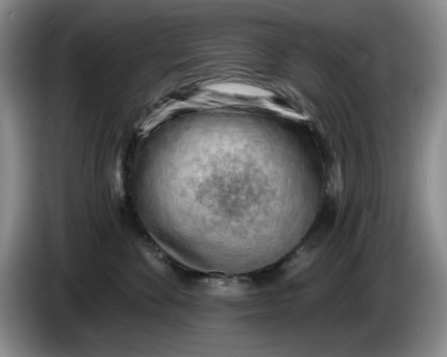 X0000084040524200703092034