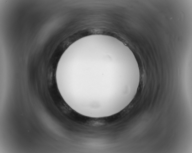 X0000084040525200703092034