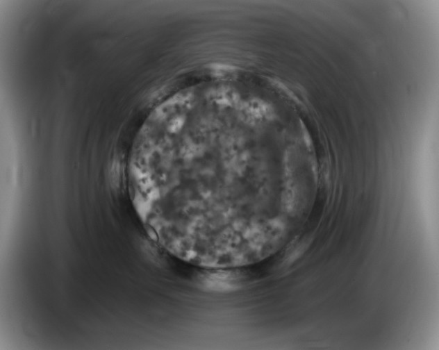 X0000084040527200703092034