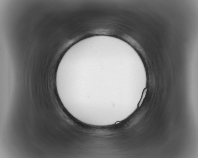 X0000084040529200703092033