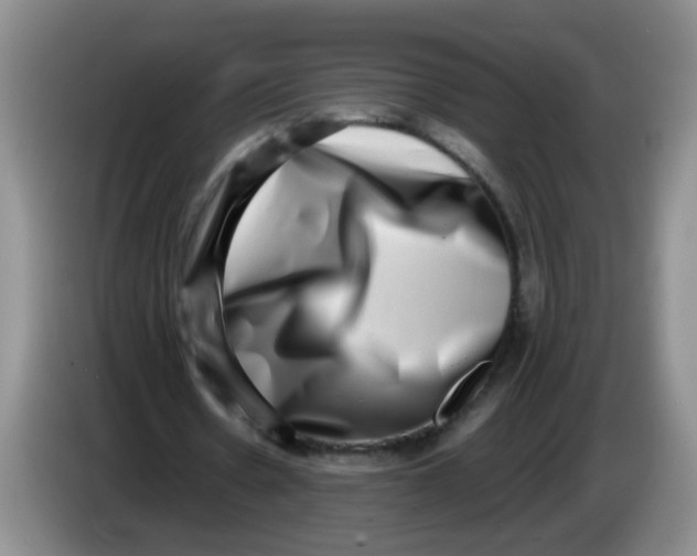 X0000084040530200703092033