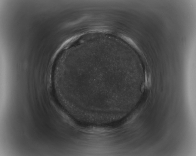 X0000084040531200703092033