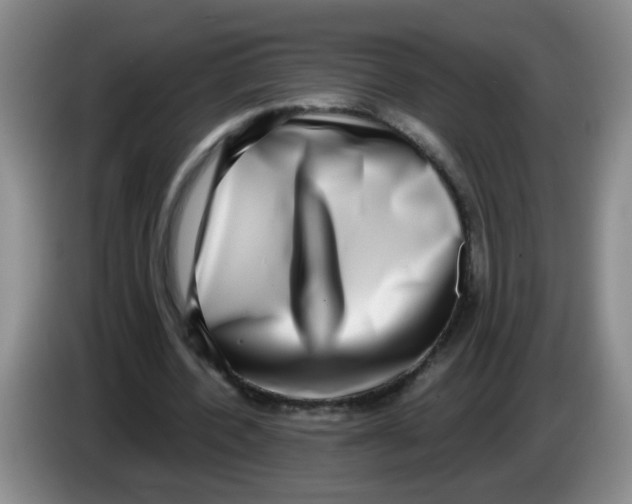 X0000084040532200703092033