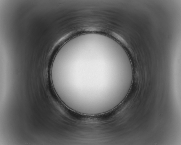 X0000084040535200703092033