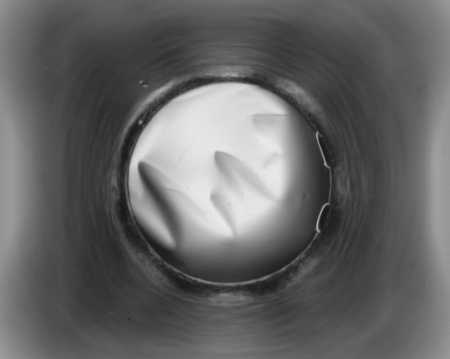 X0000084040536200703092033