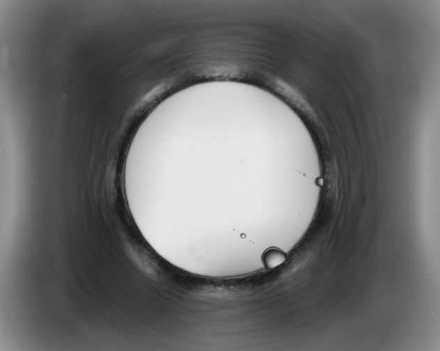 X0000084040538200703092033