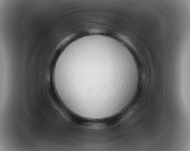 X0000084040539200703092033