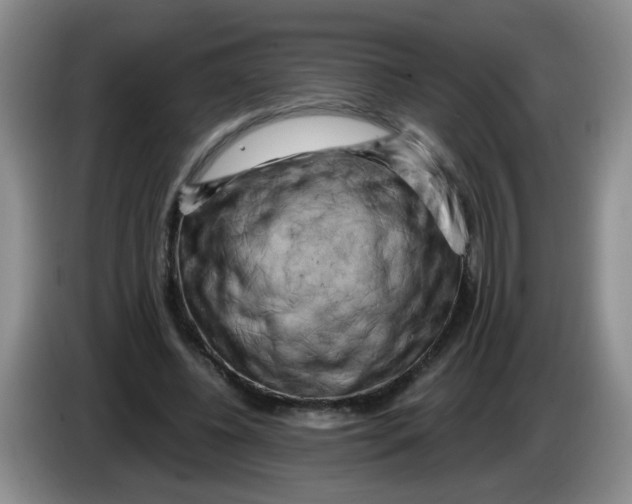 X0000084040540200703092033