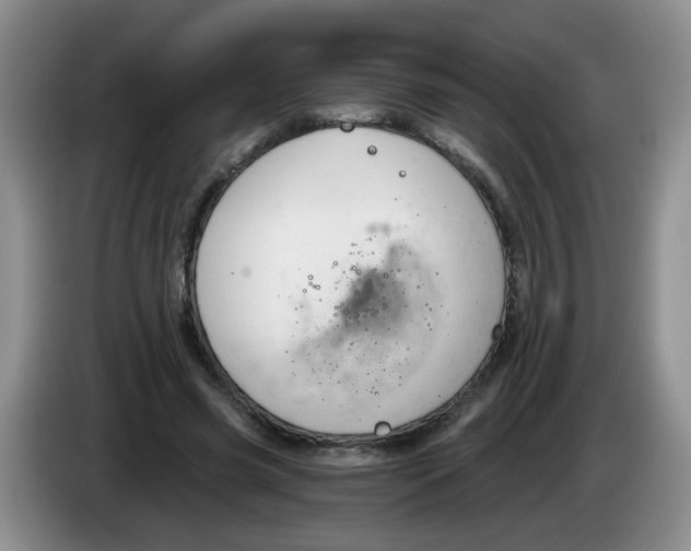 X0000084040541200703092033