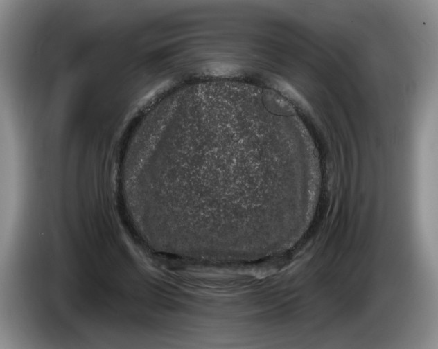 X0000084040542200703092033