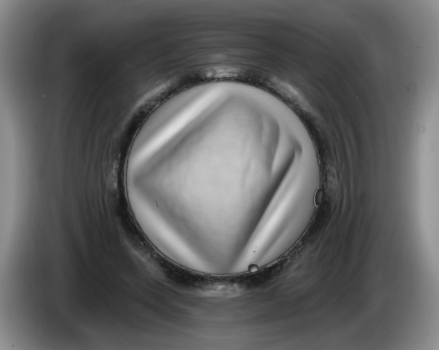 X0000084040543200703092033