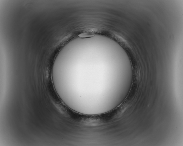 X0000084040546200703092033