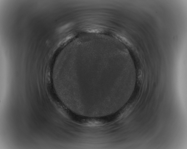 X0000084040547200703092033