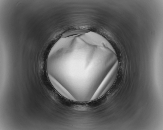 X0000084040548200703092033