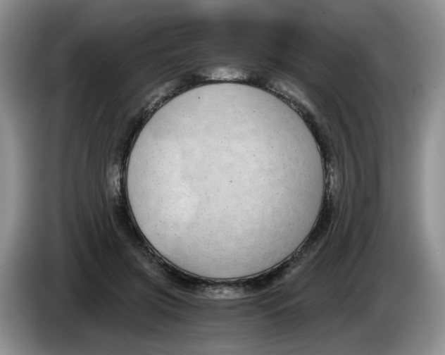 X0000084040549200703092033