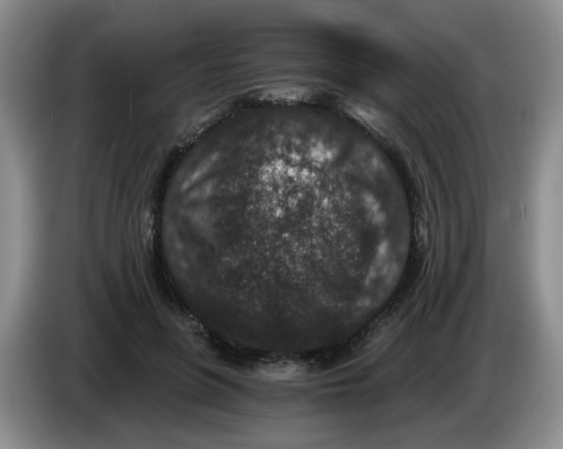 X0000084040551200703092033