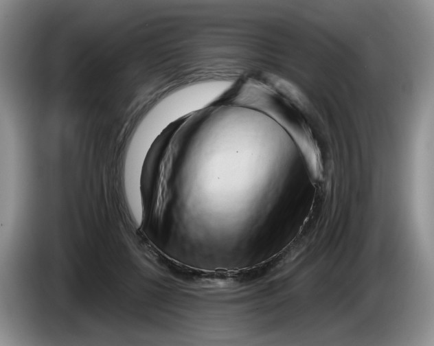 X0000084040552200703092033