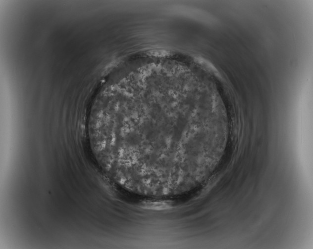 X0000084040553200703092034