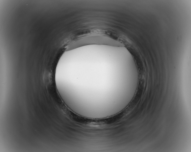 X0000084040556200703092034