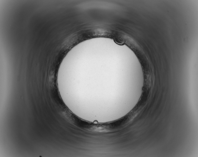 X0000084040557200703092034