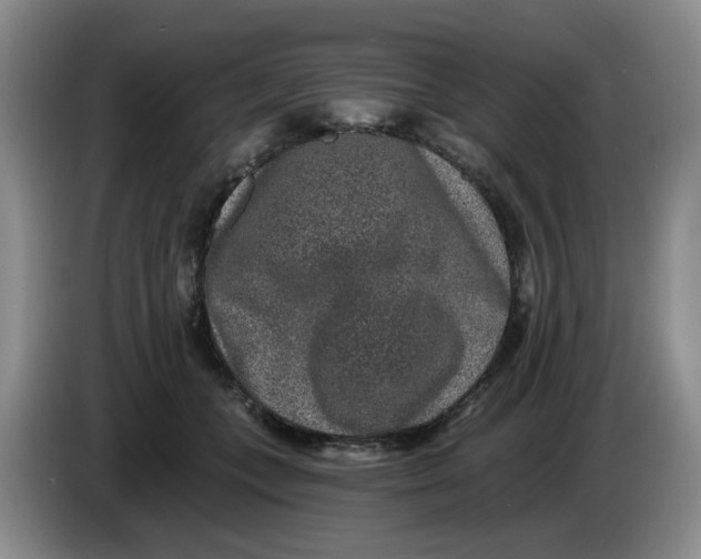 X0000084040559200703092034