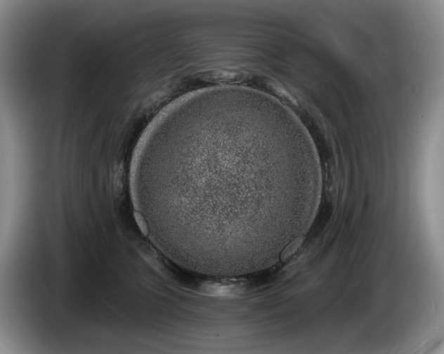 X0000084040563200703092034